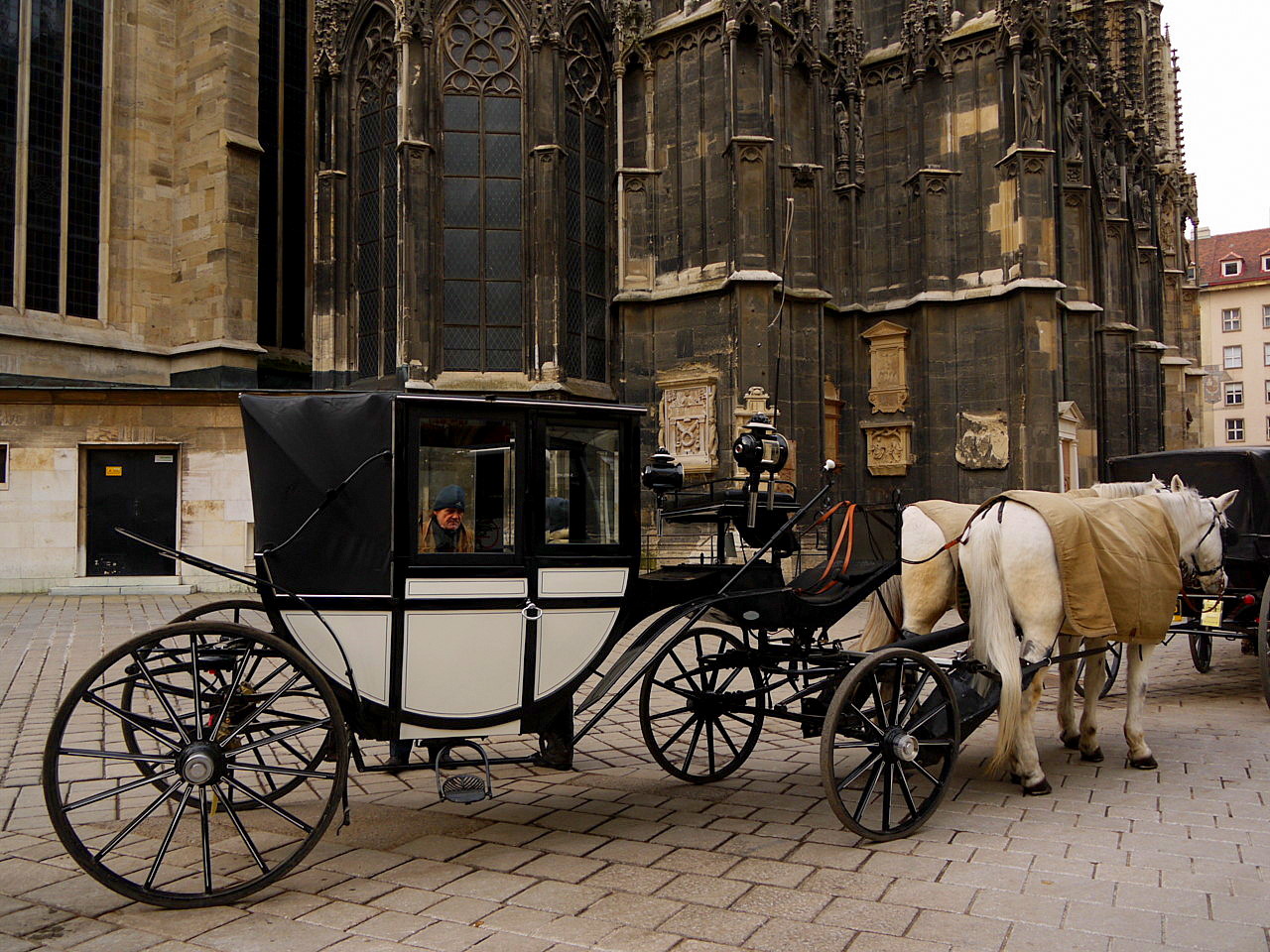 Symbols of the Vienna
